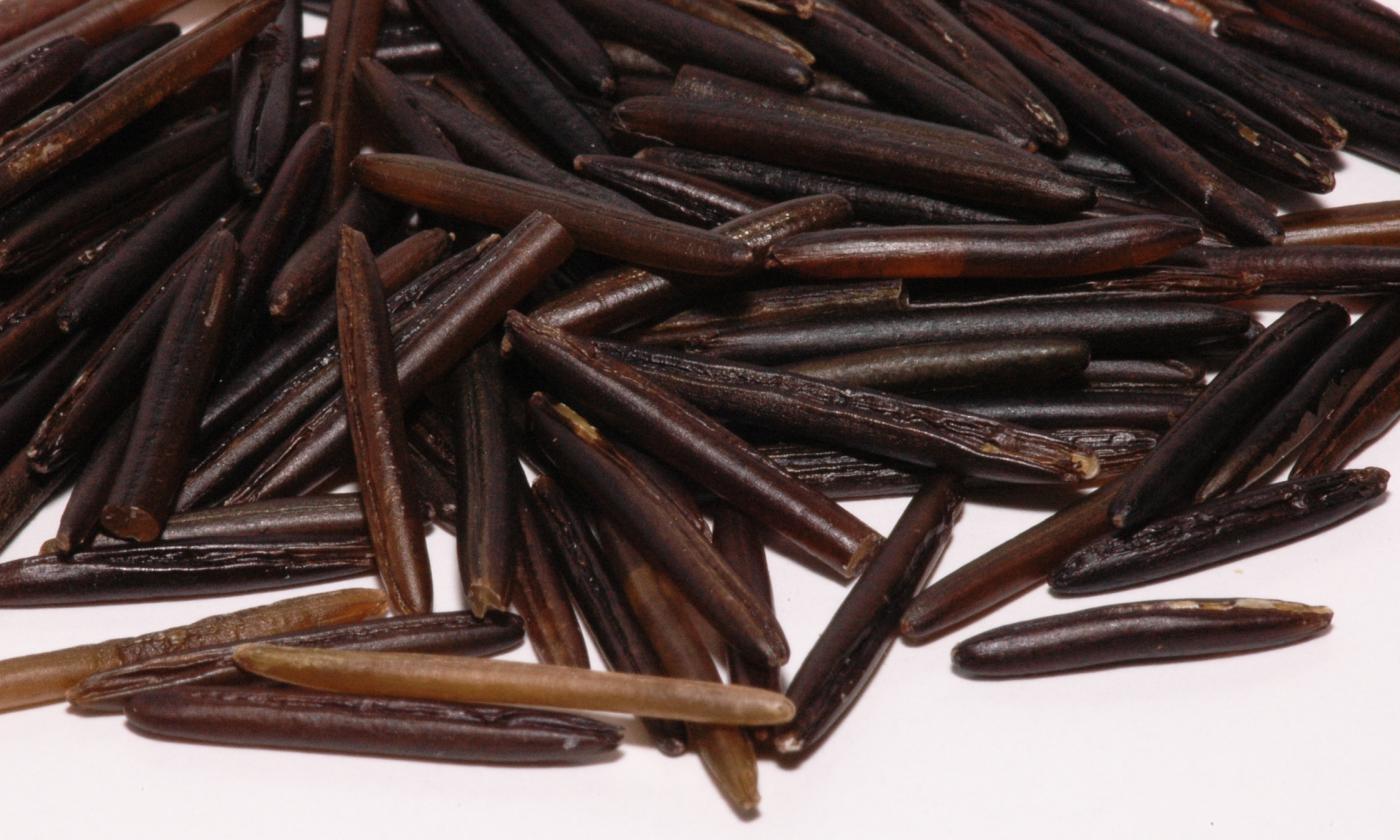 Primer plano de arroz salvaje, con su característico color oscuro. Primer plano de arroz salvaje, con su característico color oscuro.