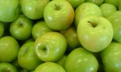 Ein Haufen roher, verkaufsbereiter Äpfel der Sorte Granny Smith - Malus domestica.
