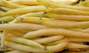Aufgehäufte gelbe Wachsbohnen - auch bekannt als Butterbohnen.