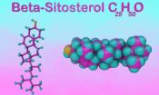 Beta-Sitosterol bzw. β-Sitosterin ist bekannt als Phytosterin mit krebshemmendem Effekt.