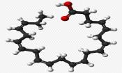 Kugel-Stab-Modell der Docosahexaensäure (DHA, eine hoch ungesättigte Omega-3-Fettsäure)