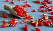 Bayas de Goji frescas sobre una pala de madera y esparcidas alrededor. Lycium barbarum.