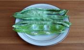Judías verdes en un plato: suelen utilizarse para preparar sopas y otras recetas.