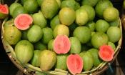 Guavennektar, konserviert entsteht aus Früchten, wie man sie auf dem Bild sieht.