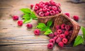 Frisch geerntete Himbeeren (Rubus idaeus) in zwei Körbchen und darum herum, mit Himbeerblättern.