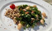 Rezeptbild vom "Weisse Bohnen-Grünkohl mit getrockneten Tomaten an Quinoa", auf weissem Teller.