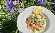 Rezeptbild "Fruchtiger Sprossensalat mit Papaya und Zuckermelone" serviert auf weissem Teller.