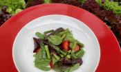 Rezeptbild vom angerichteten "schnellen fruchtigen Salat mit grünem Spargel mit Erdbeeren".