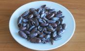 Plato con granos de cacao: la fermentación les da su típico sabor.