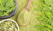 Moringa en polvo: hojas de moringa secas en la parte inferior izquierda. Arriba y derecha hojas.