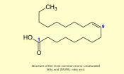 Struktur der Ölsäure (meistvorkommende einfach ungesättigte Fettsäure, MUFA).