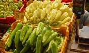 Pimientos húngaros crudos, verdes y amarillos listos para su venta en cajas (Capsicum annuum).