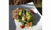 Rezeptbild von "Gedämpftes Pak Choi- Gemüse mit Ingwer und Chili", angerichtet mit Quinoa.