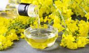 Verter aceite de colza refinado de una botella en un recipiente rodeado de flores de colza.