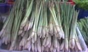 Varios manojos de hierba limón (Cymbopogon citratus) en un mercado.