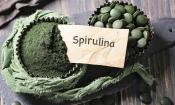 Spirulina spp. como polvos y tabletas. Cultivado y generalmente secado al calor.