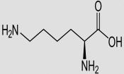 Estructura de la L-Lisina. La D-Lisina es inversa y no está presente en las proteínas.