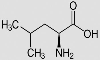 Struktur von L-Leucin in der Nahrung. D-Leucin und das Racemat DL-Leucin gibt es nur synthetisch.