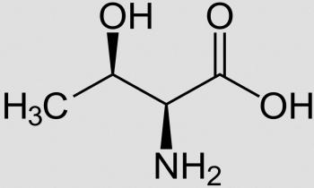 Struktur von L-Threonin. Es existieren vier Stereoisomere des Threonins.