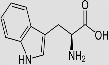 Struktur von L-Tryptophan. Das D-Tryptophan hat eine geringe Bedeutung.