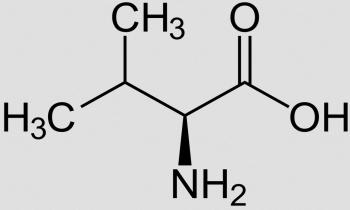 Structure of L-valine. The D-valine is mirror-inverted and mostly produced synthetically.