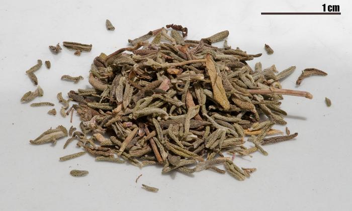 aufbewahrung glas küche eckig Vorratsglas mit Holzdeckel 1000 ml hell schmuckverpackung Stil:Viererpack dennree Erdnüsse in der