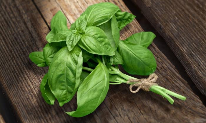 Basil, fresh (organic?) G+E