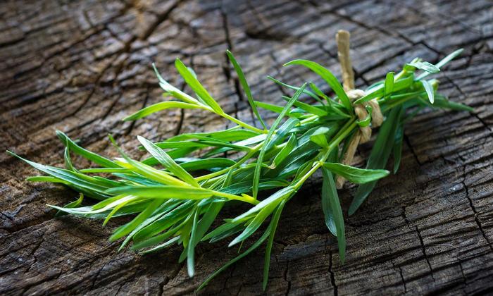 Tarragon, fresh (raw, organic) | Foundation G+E