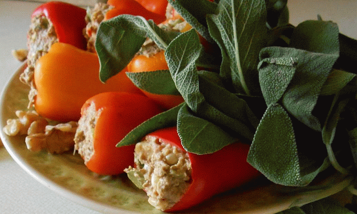 Stuffed peppers with mushroom-walnut filling and tomato sauc | Foundation G+E