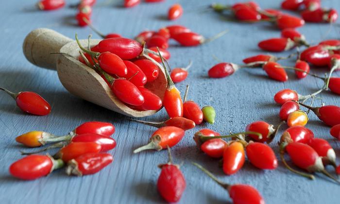 Goji berries, fresh, raw, (organic) | Foundation G+E