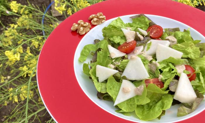 Gemischter Salat mit Mairübchen und ölfreier Vinaigrette