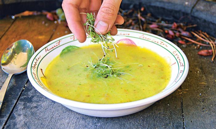 Sopa de berros hortelanos y patatas