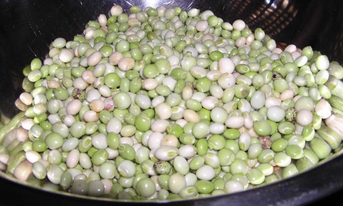 Straucherbsen, unreif (roh?, bio?) | Stiftung G+E