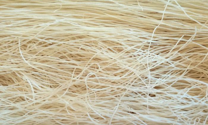 Rice noodles, 'spaghettini' (organic) | Foundation G+E