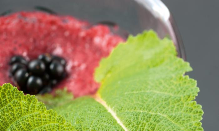 Frullato di salvia dai prati con mora e mela