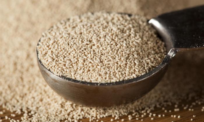 Baker's yeast (active dry yeast, organic?) | Foundation G+E