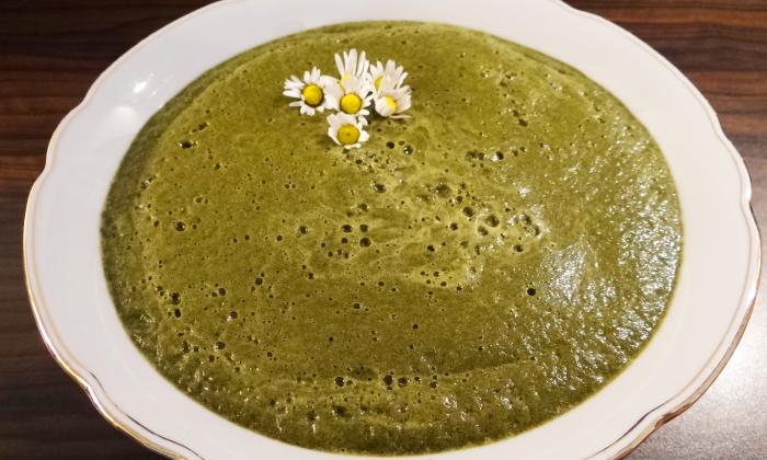 Raw vegan wild herb smoothie | Foundation G+E