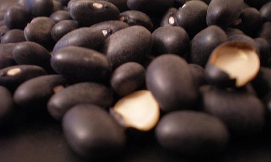 Closeup of ripe raw black bean seed (Phaseolus vulgaris).