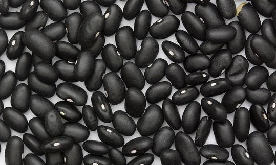 Фасоль: черная, кенийская, обыкновенная и другие виды и сорта. Из какого семейства растение