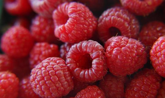 Малина подготовленная на продажу (Rubus idaeus L., подрод Idaeobatus). Малина подготовленная на продажу (Rubus idaeus L., подрод Idaeobatus).