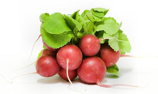 Radieschen, frisch als Bund, freigestellt. (Raphanus sativus subsp. sativus, Raphanus sativus). Radieschen, frisch als Bund, freigestellt. (Raphanus sativus subsp. sativus, Raphanus sativus).