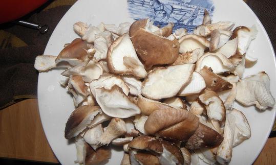 Funghi shiitake, crudi, leggermente tritati su un piatto di porcellana bianca. Funghi shiitake, crudi, leggermente tritati su un piatto di porcellana bianca.