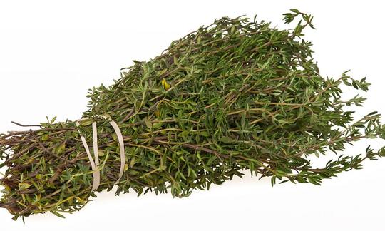 Fresh thyme (Thymus vulgaris) as a bundle on a light background. Fresh thyme (Thymus vulgaris) as a bundle on a light background.