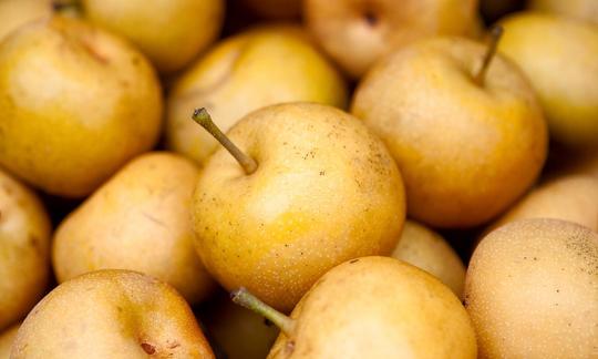 груша, наши, сырая - Pyrus pyrifolia (Burman f.) Nakai