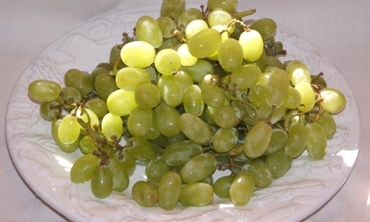 Weintrauben (europäische Sorte, wie Thompson seedless), Vitis vinifera auf Teller gehäuft. Weintrauben (europäische Sorte, wie Thompson seedless), Vitis vinifera auf Teller gehäuft.