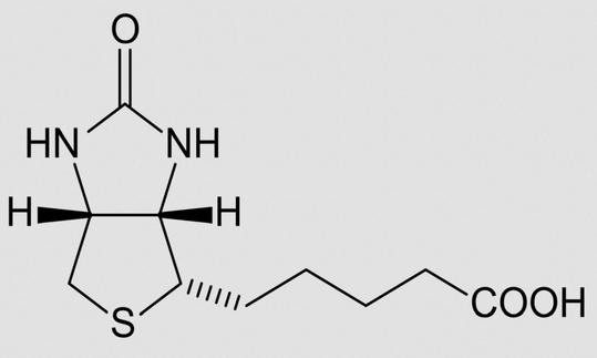Struktur von Biotin. Biotin weist 8 Stereoisomere auf, doch nicht alle sind biologisch aktiv.