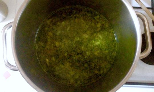 Potato and bean stew with dill just before adding the potato pieces