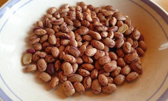 Frijoles borlotti, crudos, amontonados en un plato. Vea los patrones y colores típicos. Frijoles borlotti, crudos, amontonados en un plato. Vea los patrones y colores típicos.