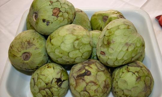 Cherimoyas - Annona cherimola - in a white square bowl. Cherimoyas - Annona cherimola - in a white square bowl.