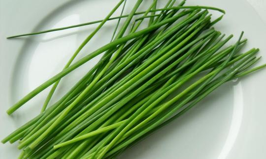Raw, untreated chives (Allium schoenoprasum) on a white plate. Raw, untreated chives (Allium schoenoprasum) on a white plate.